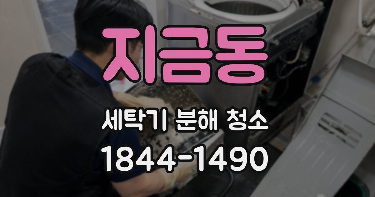 지금동 세탁기 분해 청소