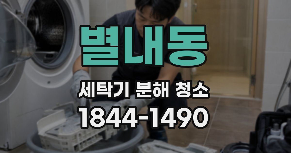 별내동 세탁기 분해 청소