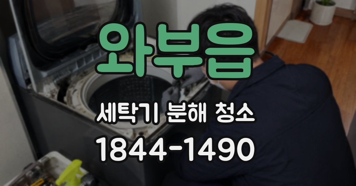와부읍 세탁기 분해 청소
