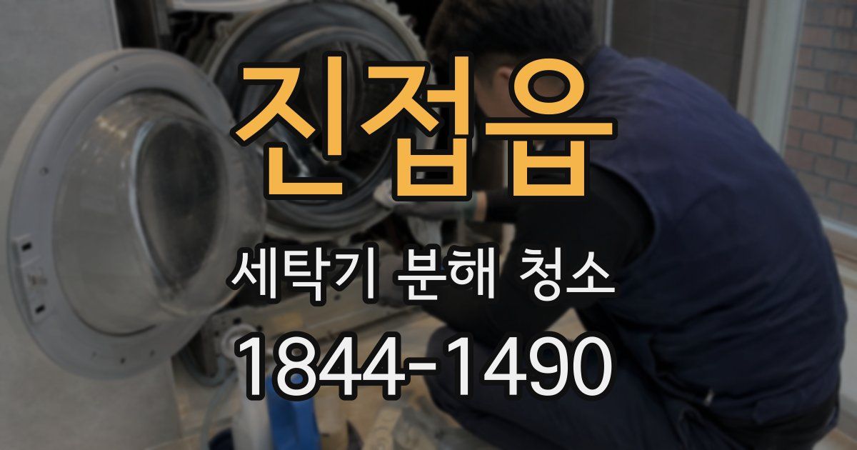 진접읍 세탁기 분해 청소