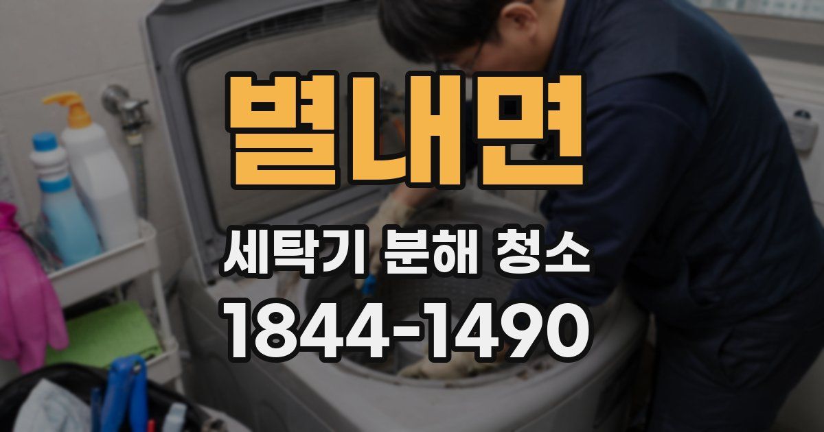 별내면 세탁기 분해 청소