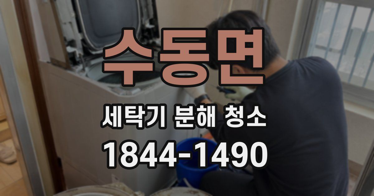 수동면 세탁기 분해 청소
