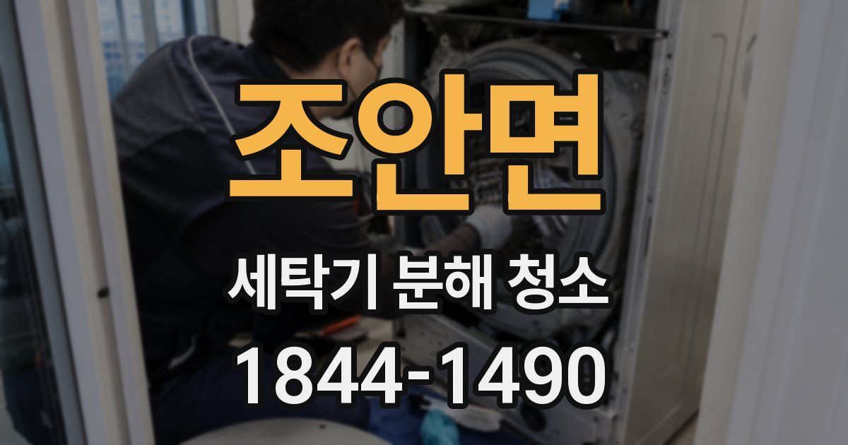 조안면 세탁기 분해 청소