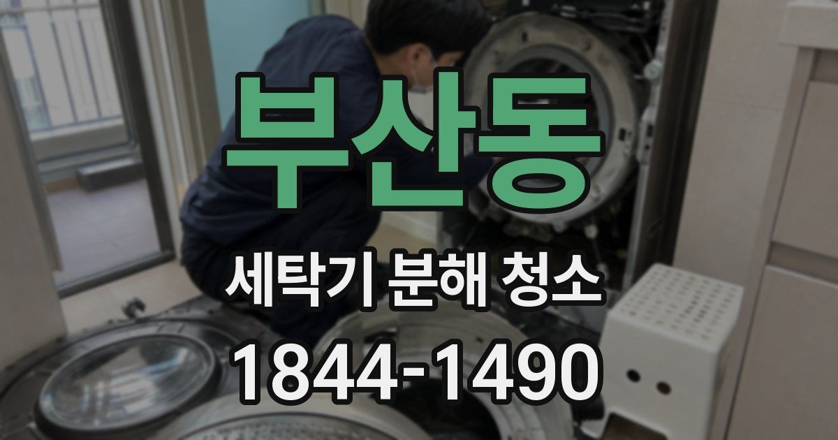 부산동 세탁기 분해 청소