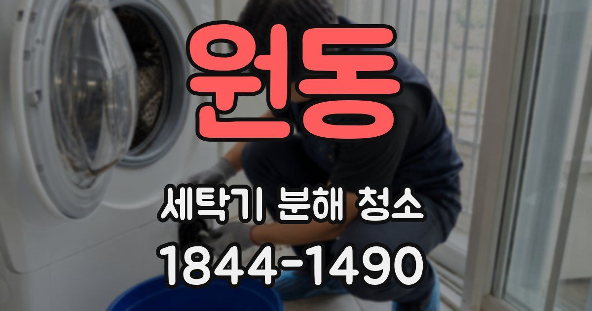 원동 세탁기 분해 청소