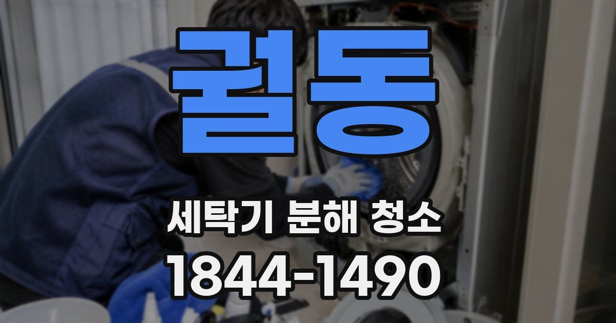 궐동 세탁기 분해 청소