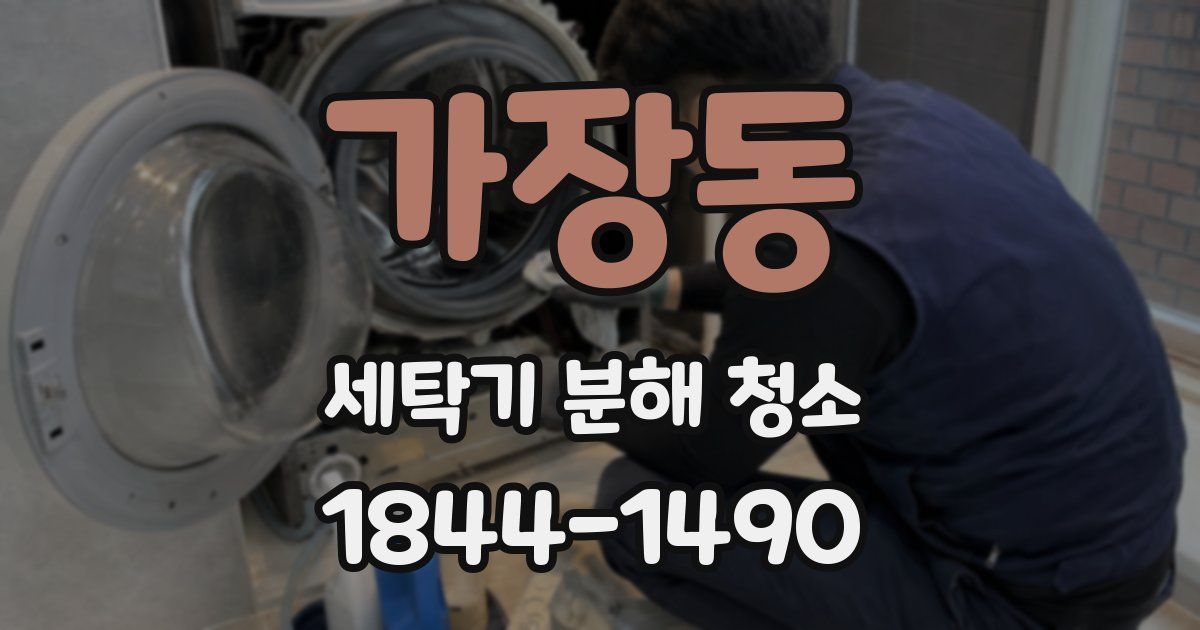 가장동 세탁기 분해 청소