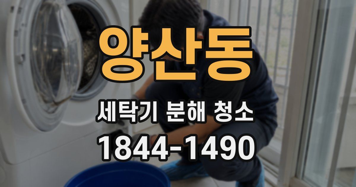 양산동 세탁기 분해 청소