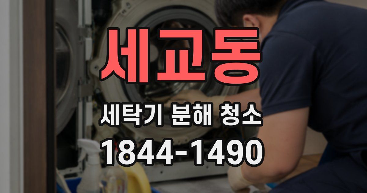 세교동 세탁기 분해 청소