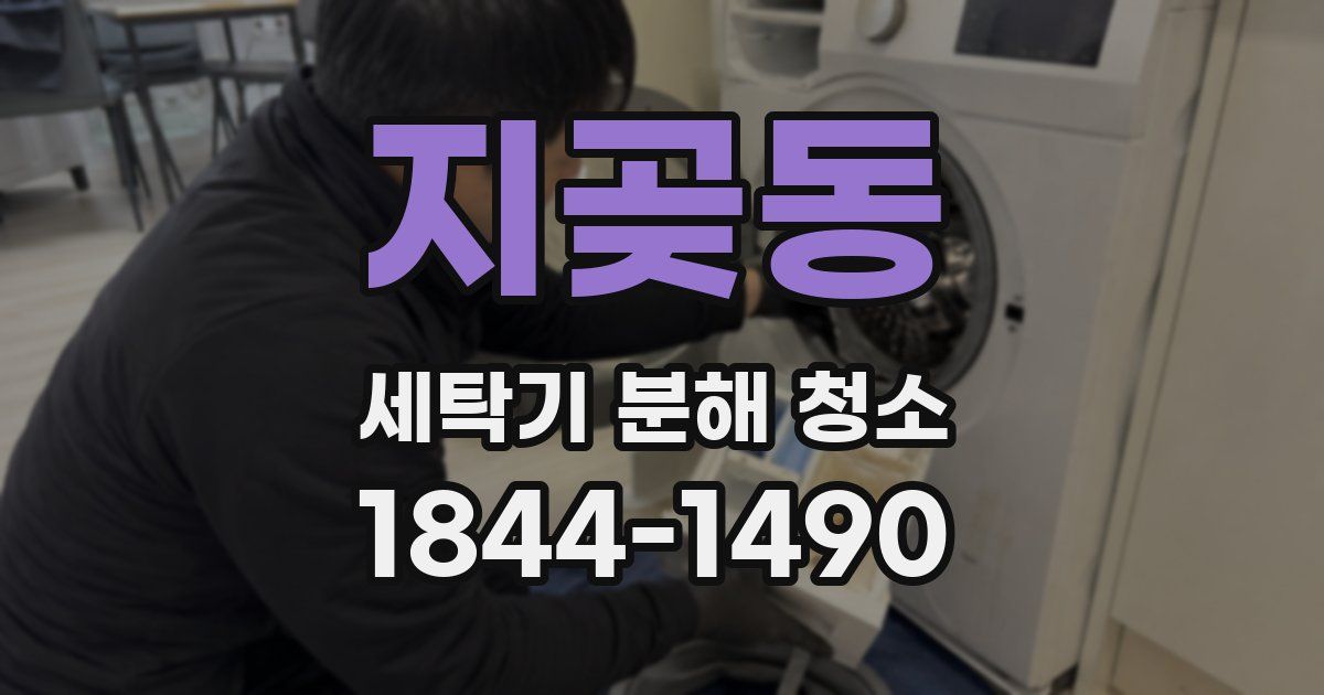 지곶동 세탁기 분해 청소