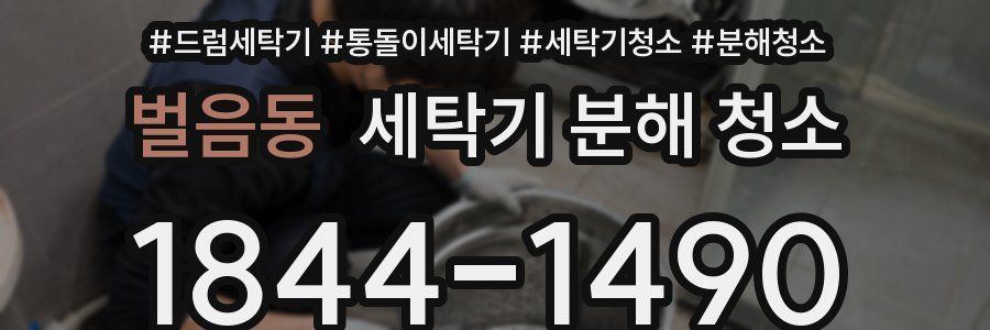벌음동 세탁기 분해 청소