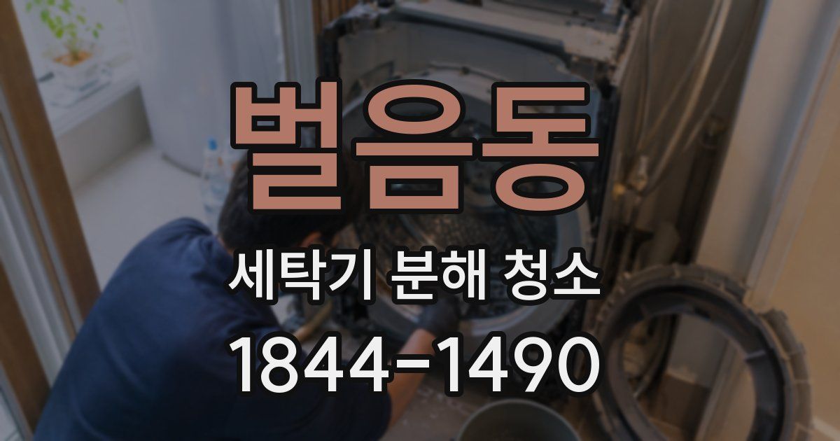 벌음동 세탁기 분해 청소