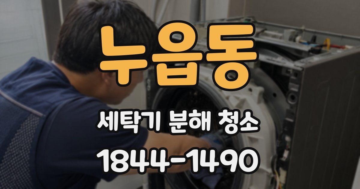누읍동 세탁기 분해 청소