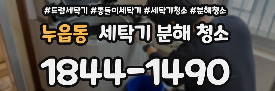 누읍동 세탁기 분해 청소