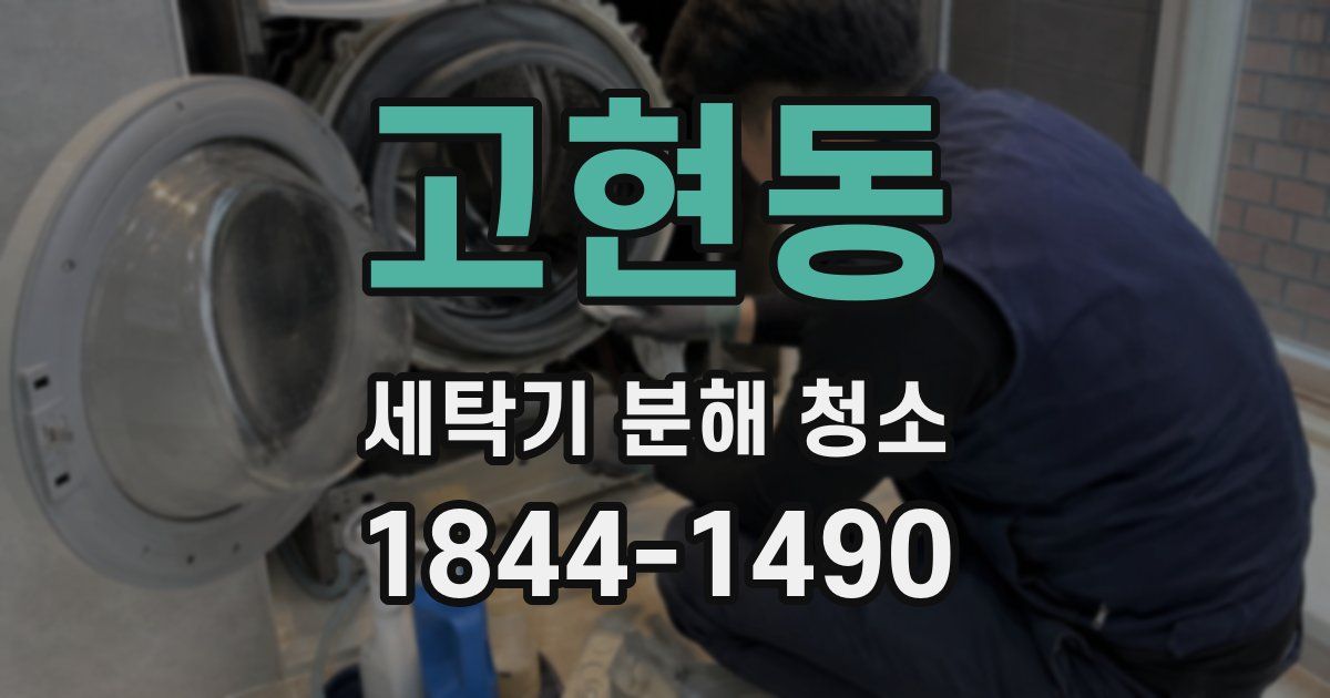 고현동 세탁기 분해 청소