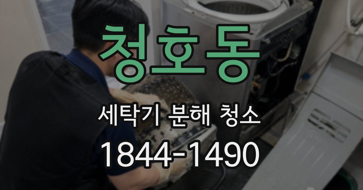 청호동 세탁기 분해 청소