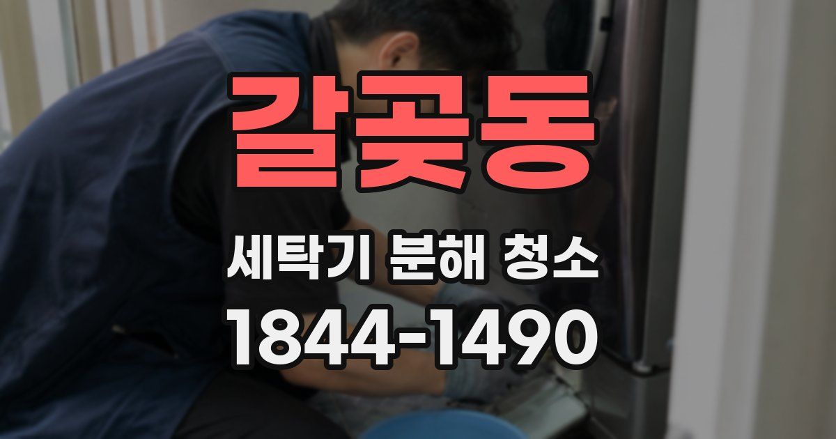 갈곶동 세탁기 분해 청소