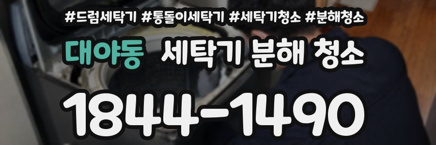 대야동 세탁기 분해 청소