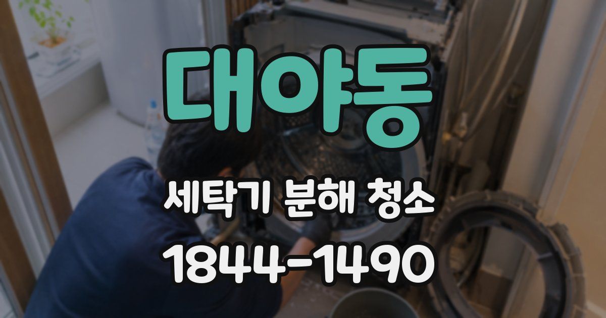 대야동 세탁기 분해 청소