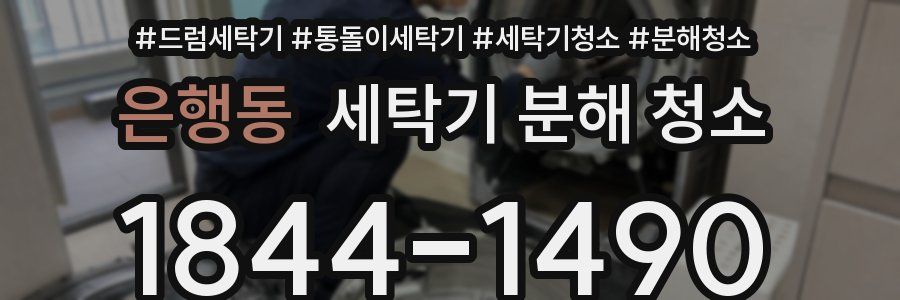 은행동 세탁기 분해 청소