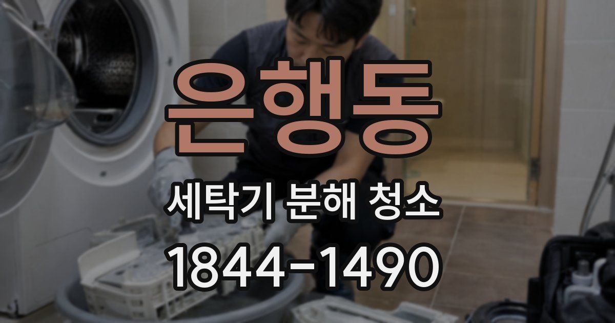 은행동 세탁기 분해 청소