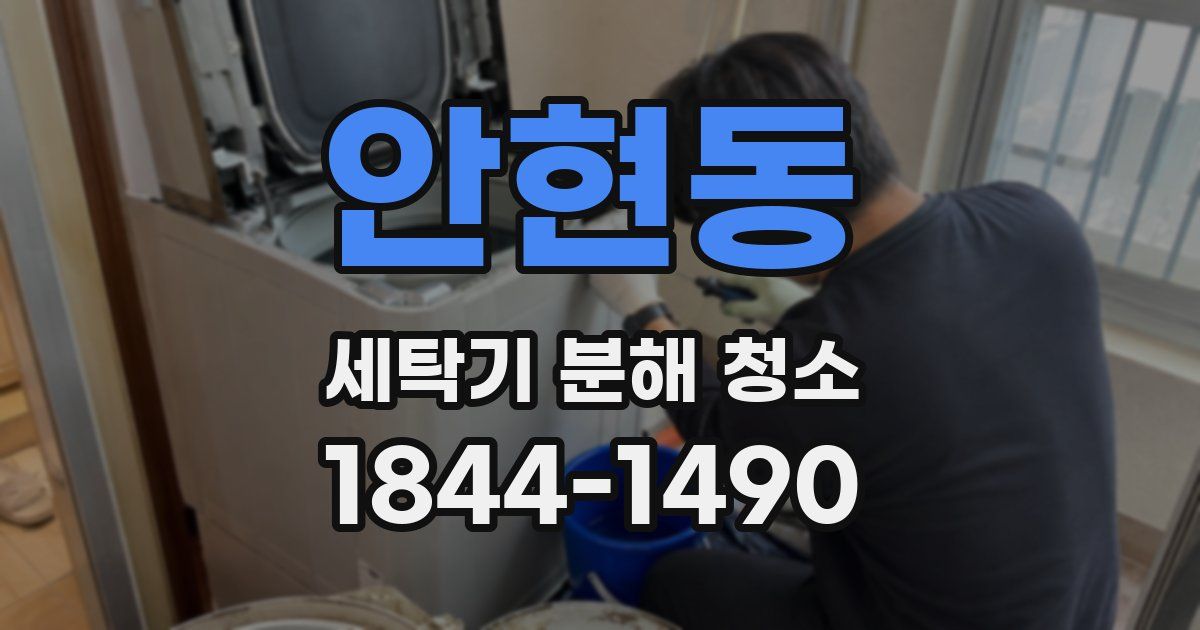 안현동 세탁기 분해 청소