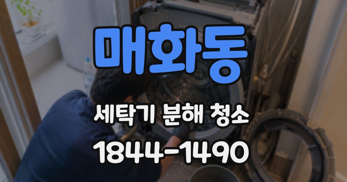매화동 세탁기 분해 청소