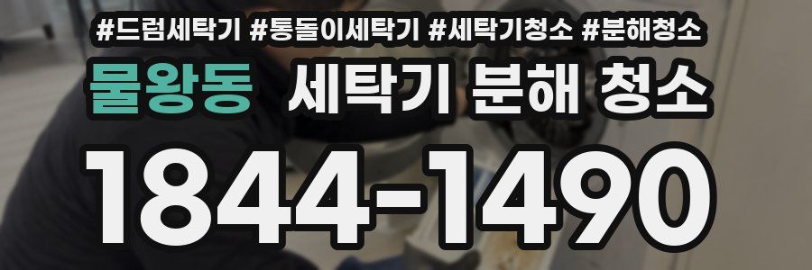 물왕동 세탁기 분해 청소