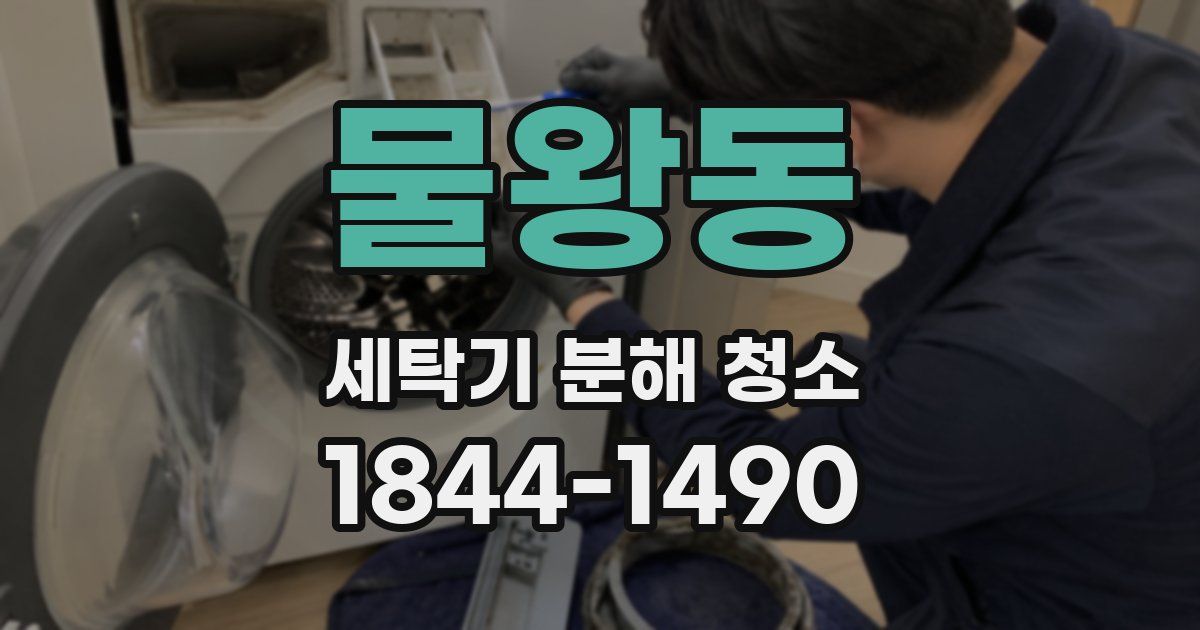 물왕동 세탁기 분해 청소