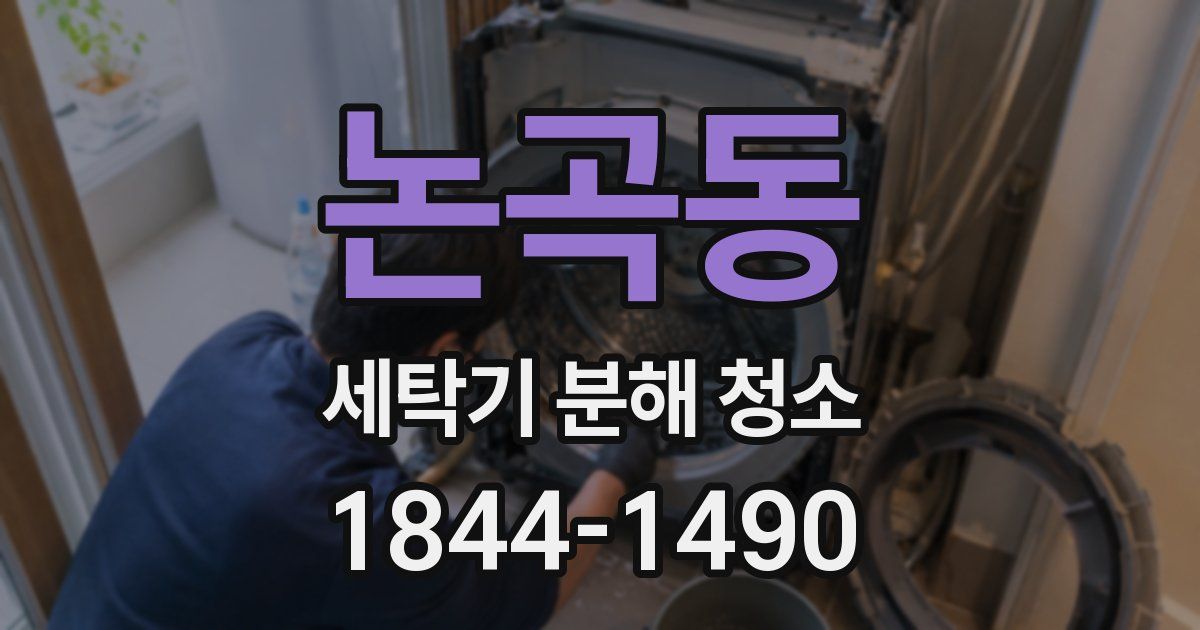 논곡동 세탁기 분해 청소