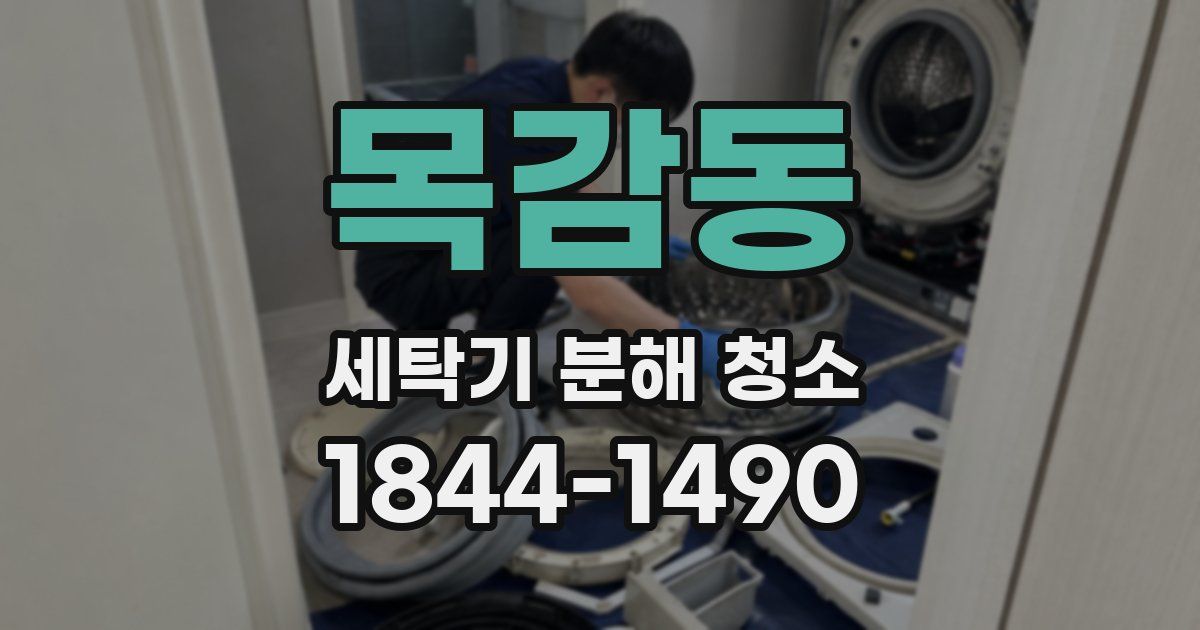 목감동 세탁기 분해 청소