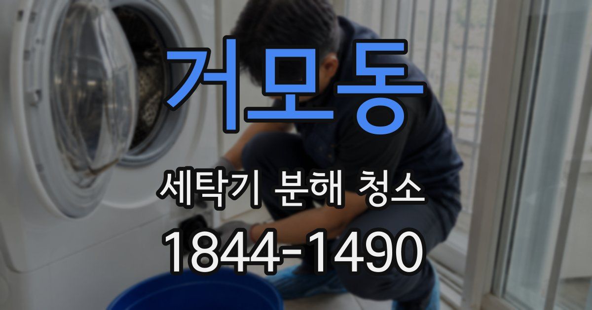 거모동 세탁기 분해 청소