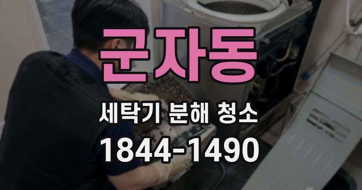 군자동 세탁기 분해 청소