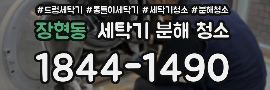 장현동 세탁기 분해 청소