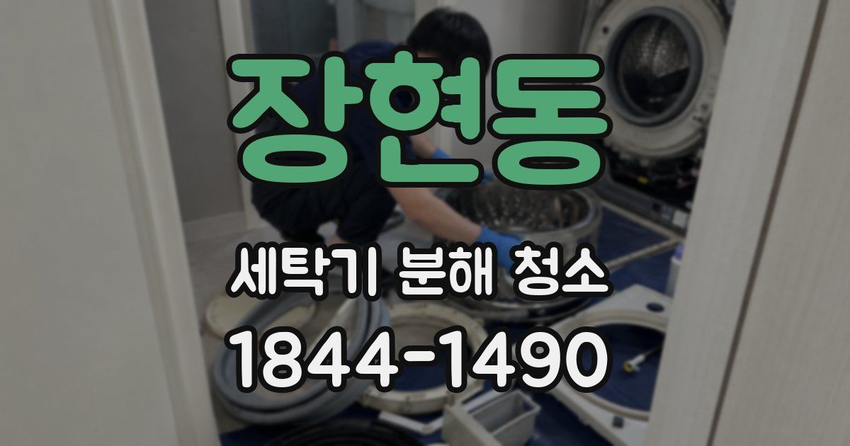 장현동 세탁기 분해 청소