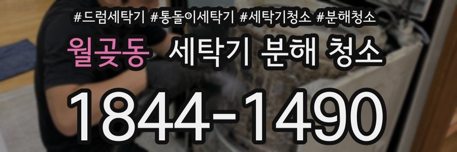 월곶동 세탁기 분해 청소