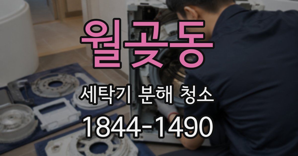 월곶동 세탁기 분해 청소