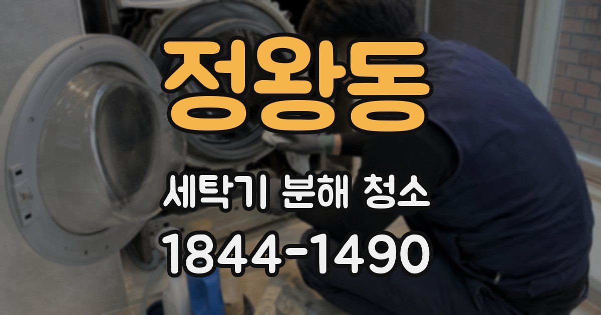 정왕동 세탁기 분해 청소