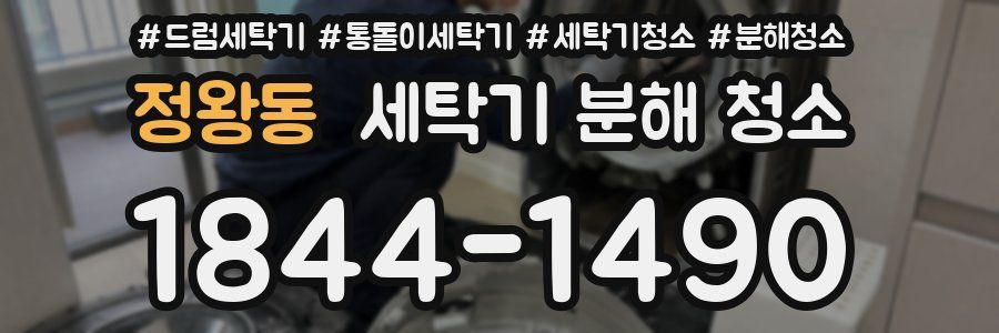 정왕동 세탁기 분해 청소