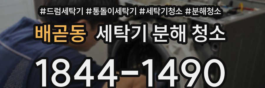 배곧동 세탁기 분해 청소