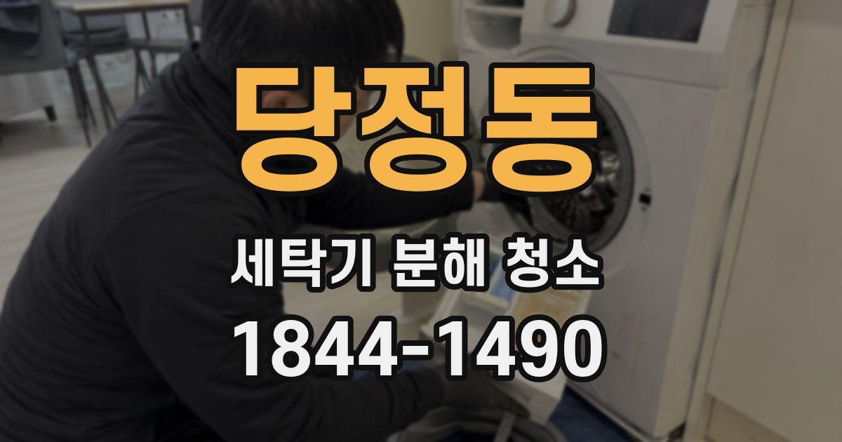 당정동 세탁기 분해 청소