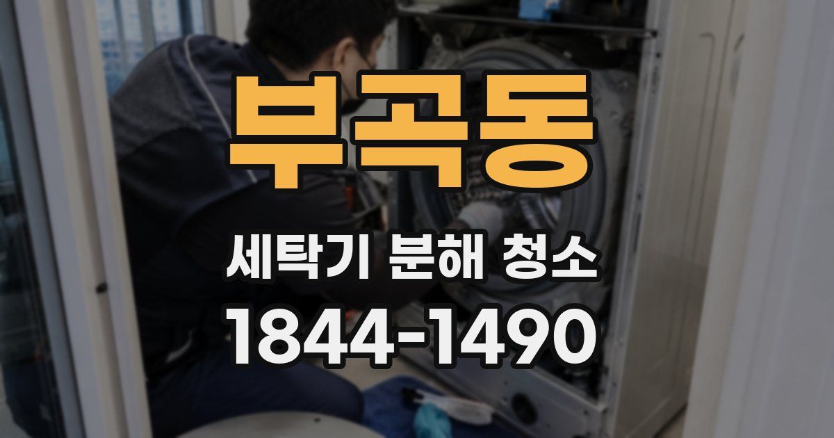 부곡동 세탁기 분해 청소