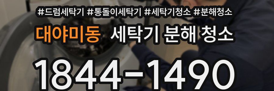 대야미동 세탁기 분해 청소