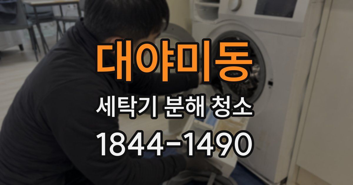 대야미동 세탁기 분해 청소