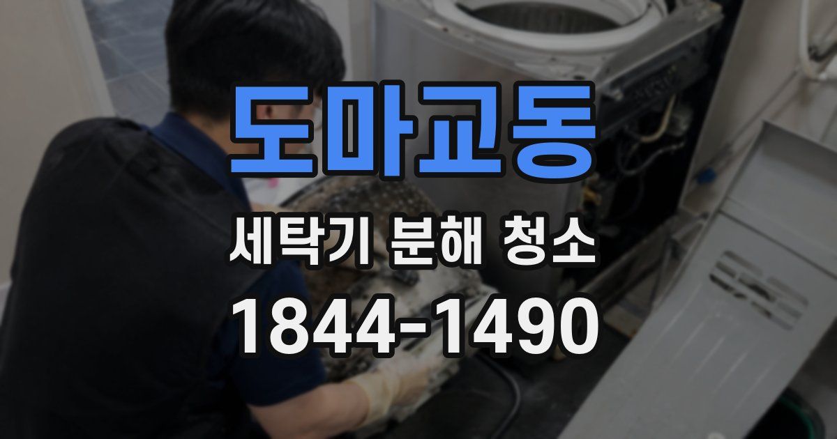 도마교동 세탁기 분해 청소