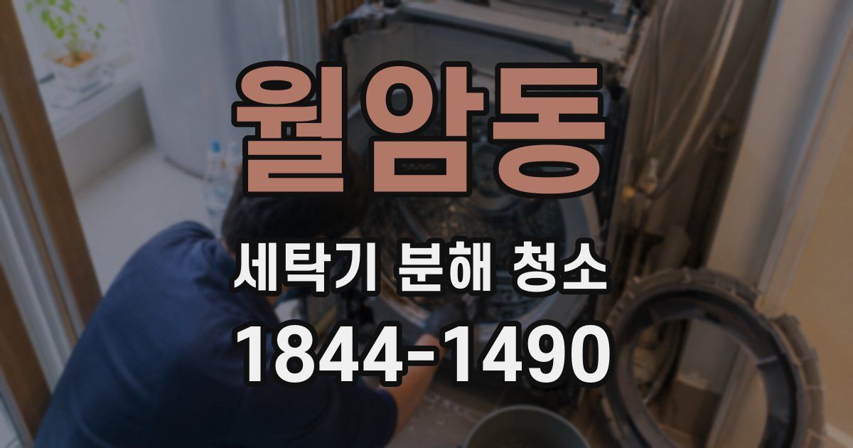 월암동 세탁기 분해 청소