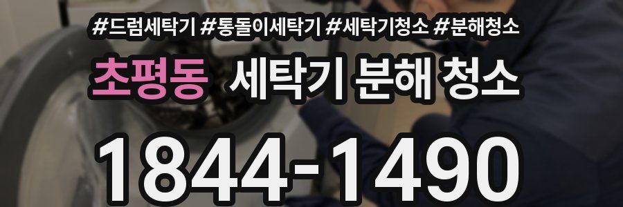 초평동 세탁기 분해 청소