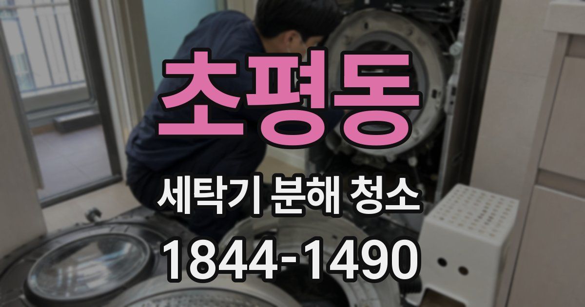 초평동 세탁기 분해 청소