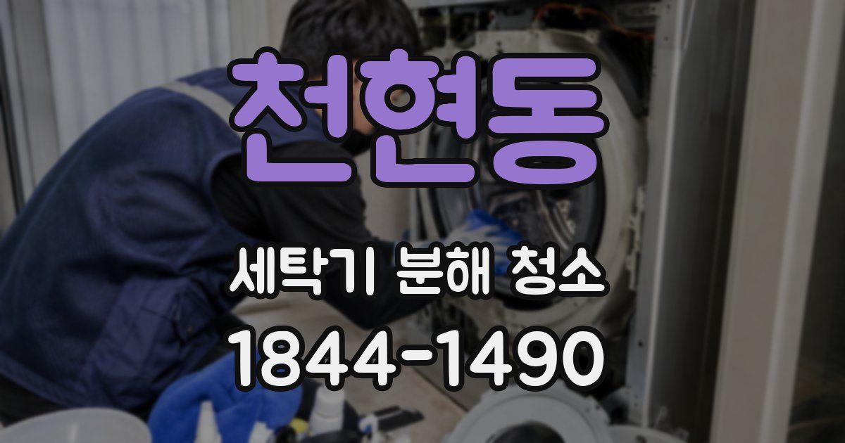 천현동 세탁기 분해 청소