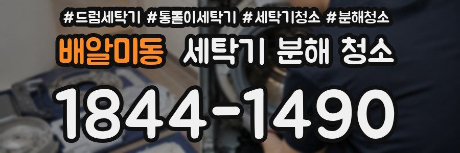배알미동 세탁기 분해 청소
